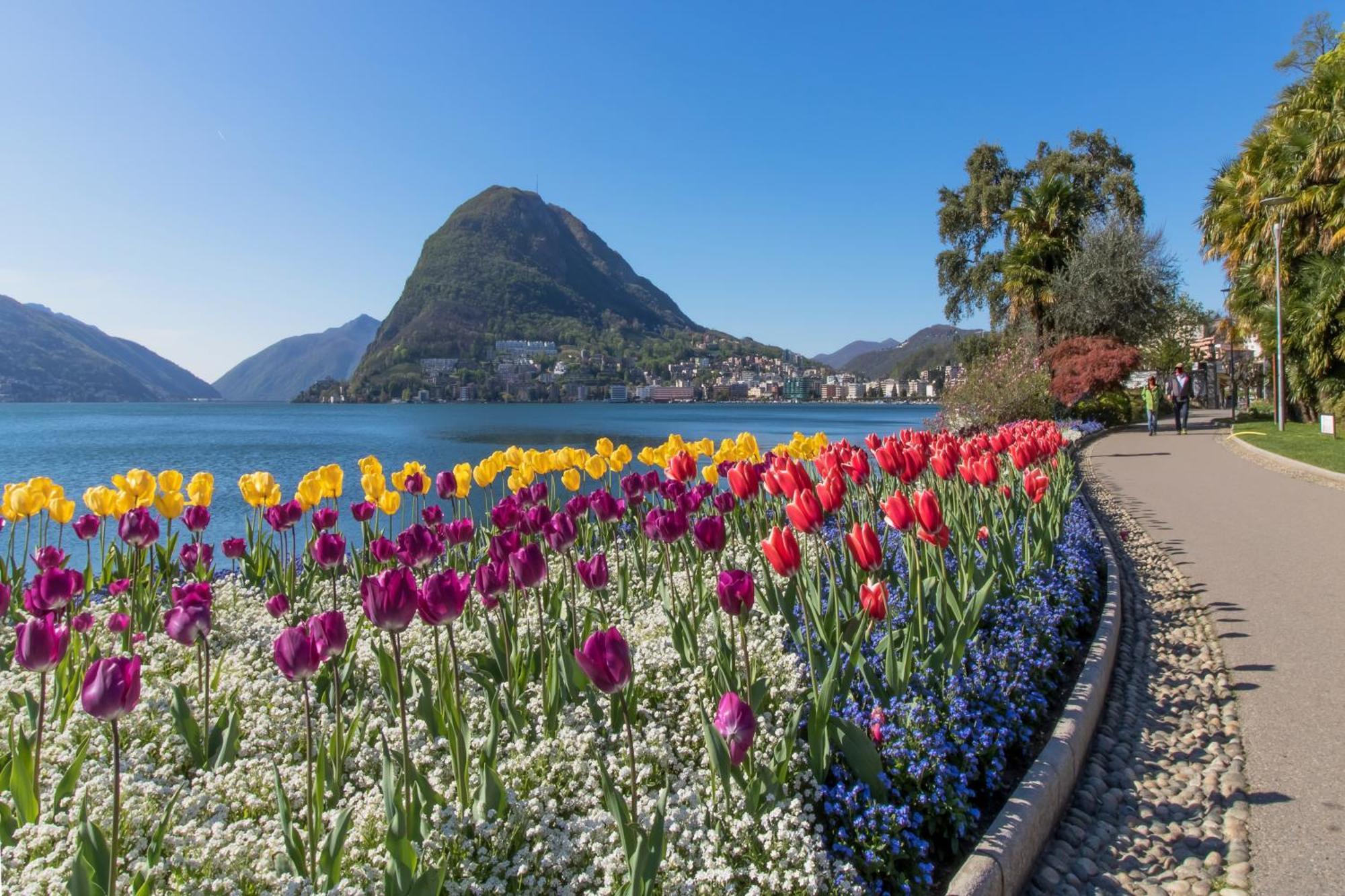 Apartmán Ca' Gina Panoramica Lugano Exteriér fotografie